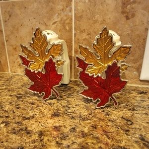 ( 3 for 15 ) 2 Wall flower plugs